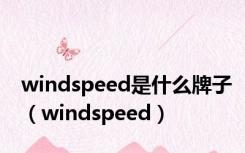 windspeed是什么牌子（windspeed）