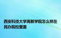 西安科技大学高新学院怎么样在民办院校里面