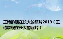 王诗龄现在长大的照片2019（王诗龄现在长大的照片）