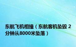 东航飞机相撞（东航客机坠毁 2分钟从8000米坠落）