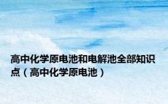 高中化学原电池和电解池全部知识点（高中化学原电池）