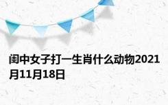 闺中女子打一生肖什么动物2021月11月18日