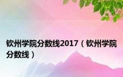 钦州学院分数线2017（钦州学院分数线）