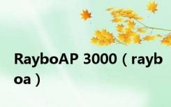 RayboAP 3000（rayboa）