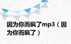 因为你而疯了mp3（因为你而疯了）