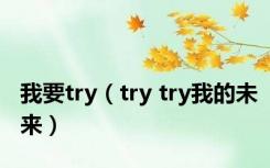 我要try（try try我的未来）