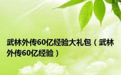 武林外传60亿经验大礼包（武林外传60亿经验）