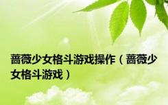 蔷薇少女格斗游戏操作（蔷薇少女格斗游戏）