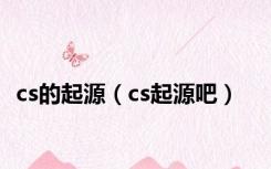 cs的起源（cs起源吧）