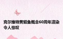 克尔维特黄貂鱼概念60周年渲染令人惊叹