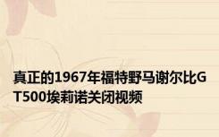 真正的1967年福特野马谢尔比GT500埃莉诺关闭视频