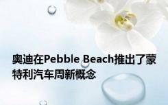 奥迪在Pebble Beach推出了蒙特利汽车周新概念