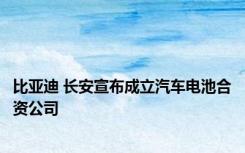 比亚迪 长安宣布成立汽车电池合资公司