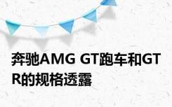 奔驰AMG GT跑车和GT R的规格透露