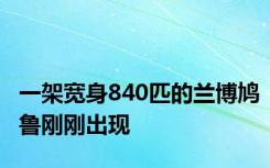 一架宽身840匹的兰博鸠鲁刚刚出现