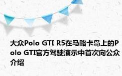 大众Polo GTI R5在马略卡岛上的Polo GTI官方驾驶演示中首次向公众介绍