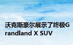 沃克斯豪尔展示了终极Grandland X SUV