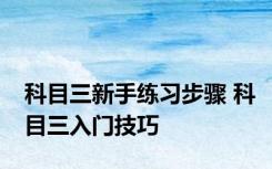 科目三新手练习步骤 科目三入门技巧