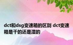 dct和dsg变速箱的区别 dct变速箱是干的还是湿的