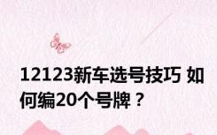 12123新车选号技巧 如何编20个号牌？