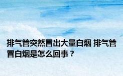 排气管突然冒出大量白烟 排气管冒白烟是怎么回事？