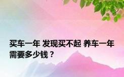 买车一年 发现买不起 养车一年需要多少钱？