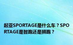 起亚SPORTAGE是什么车？SPORTAGE是智跑还是狮跑？