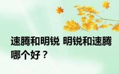 速腾和明锐 明锐和速腾哪个好？