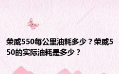 荣威550每公里油耗多少？荣威550的实际油耗是多少？