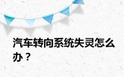 汽车转向系统失灵怎么办？