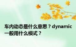 车内动态是什么意思？dynamic一般用什么模式？