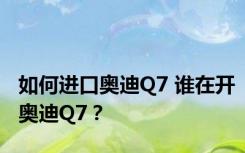 如何进口奥迪Q7 谁在开奥迪Q7？