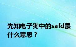 先知电子狗中的safd是什么意思？