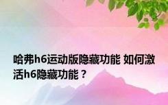 哈弗h6运动版隐藏功能 如何激活h6隐藏功能？