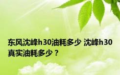 东风沈峰h30油耗多少 沈峰h30真实油耗多少？