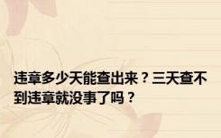 违章多少天能查出来？三天查不到违章就没事了吗？