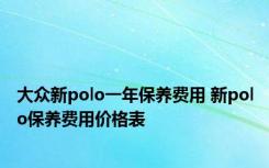 大众新polo一年保养费用 新polo保养费用价格表