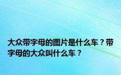 大众带字母的图片是什么车？带字母的大众叫什么车？