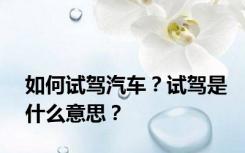 如何试驾汽车？试驾是什么意思？