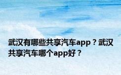 武汉有哪些共享汽车app？武汉共享汽车哪个app好？