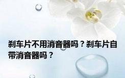 刹车片不用消音器吗？刹车片自带消音器吗？