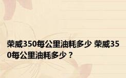 荣威350每公里油耗多少 荣威350每公里油耗多少？