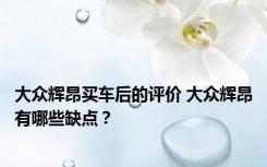 大众辉昂买车后的评价 大众辉昂有哪些缺点？