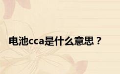 电池cca是什么意思？