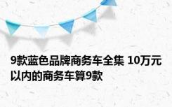 9款蓝色品牌商务车全集 10万元以内的商务车算9款