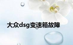 大众dsg变速箱故障