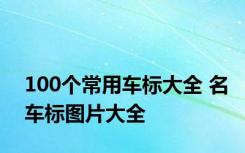 100个常用车标大全 名车标图片大全