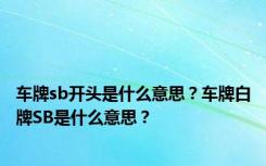 车牌sb开头是什么意思？车牌白牌SB是什么意思？