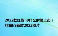 2022款红旗h9什么时候上市？红旗h9新款2022图片