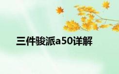 三件骏派a50详解